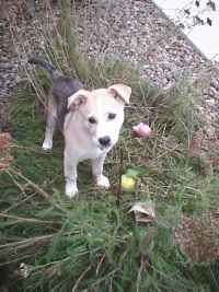 Sophie in October 1999