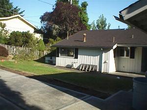 The garden from the garage