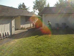 The garden from the back corner